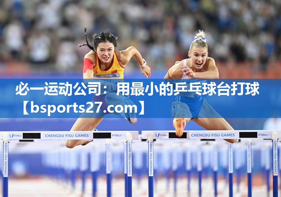 用最小的乒乓球台打球